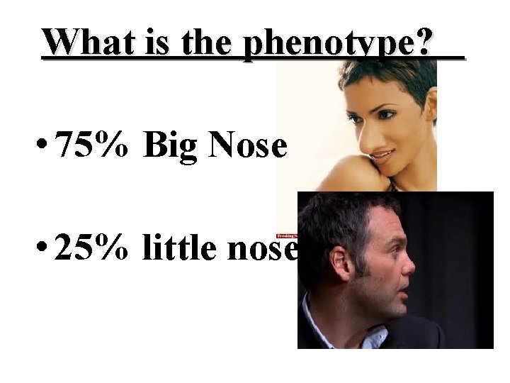 What is the phenotype? • 75% Big Nose • 25% little nose 