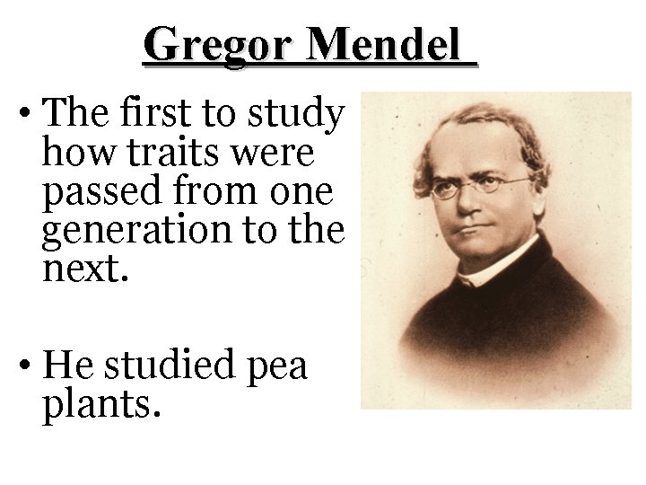 Gregor Mendel • The first to study how traits were passed from one generation