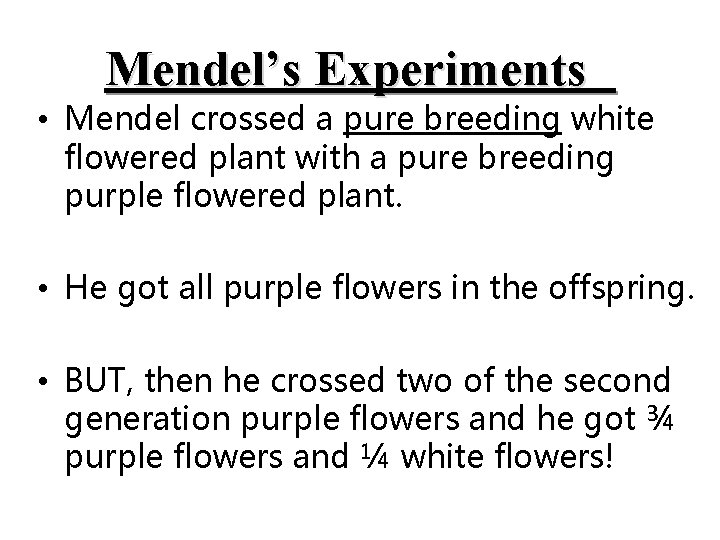 Mendel’s Experiments • Mendel crossed a pure breeding white flowered plant with a pure