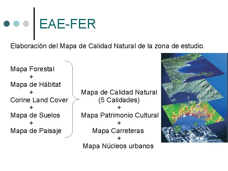 EAE-FER Elaboración del Mapa de Calidad Natural de la zona de estudio. Mapa Forestal