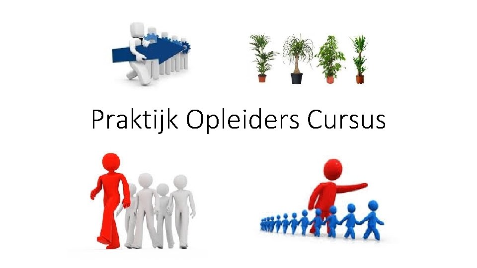 Praktijk Opleiders Cursus 