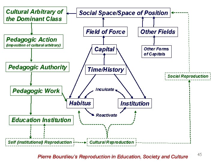 Cultural Arbitrary of the Dominant Class Social Space/Space of Position Field of Force Other