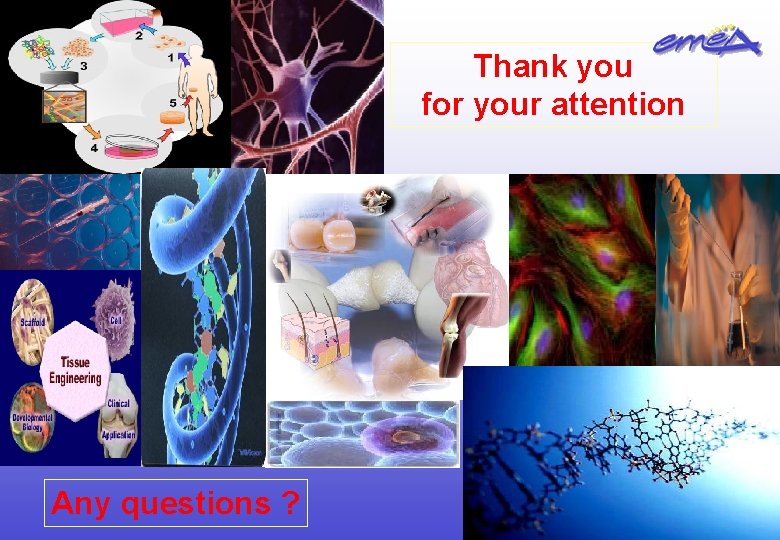 Thank you for your attention Any questions ? 17 