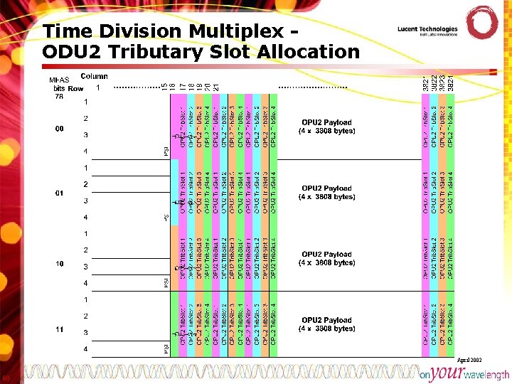 Time Division Multiplex ODU 2 Tributary Slot Allocation April 2002 60 