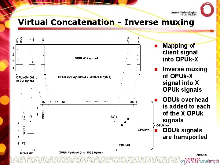 Virtual Concatenation - Inverse muxing n Mapping of client signal into OPUk-X n Inverse