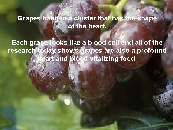 Grapes hang in a cluster that has the shape of the heart. Each grape