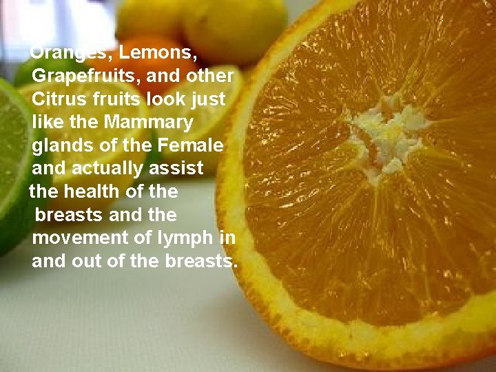 Oranges, Lemons, Grapefruits, and other Citrus fruits look just like the Mammary glands of