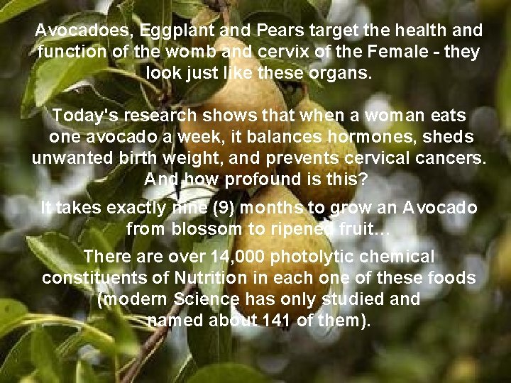 Avocadoes, Eggplant and Pears target the health and function of the womb and cervix