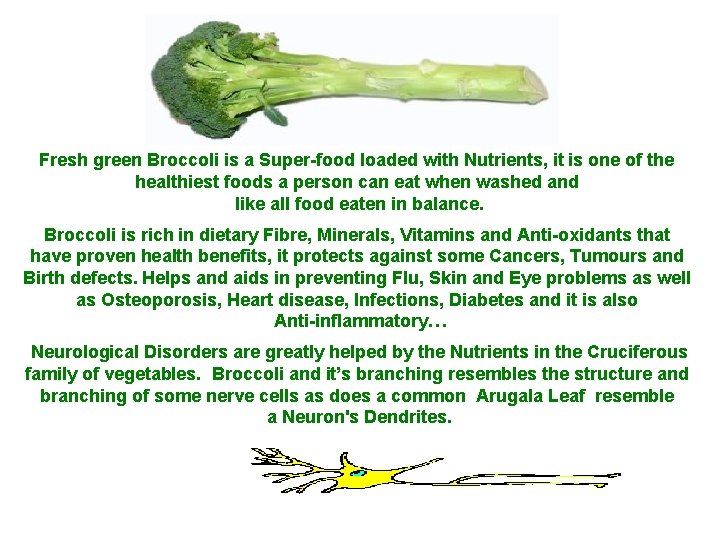 Fresh green Broccoli is a Super-food loaded with Nutrients, it is one of the