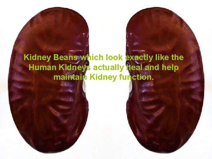 Kidney Beans which look exactly like the Human Kidneys actually heal and help maintain