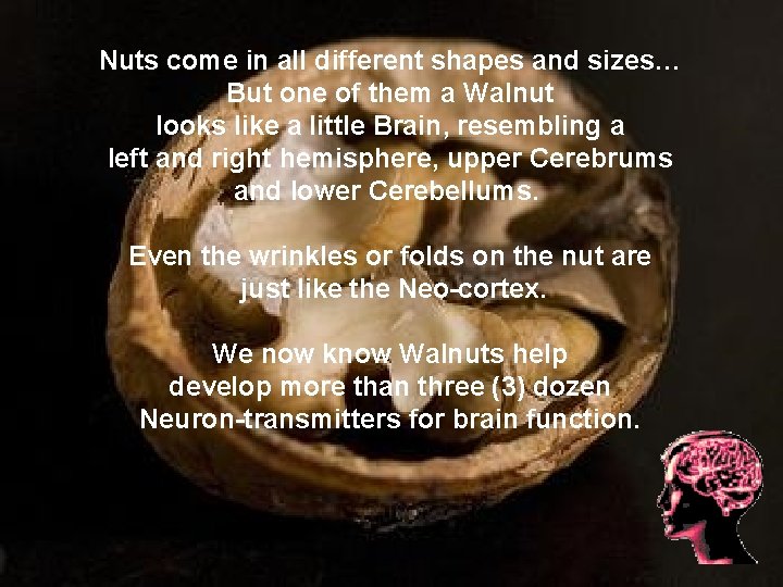 Nuts come in all different shapes and sizes… But one of them a Walnut