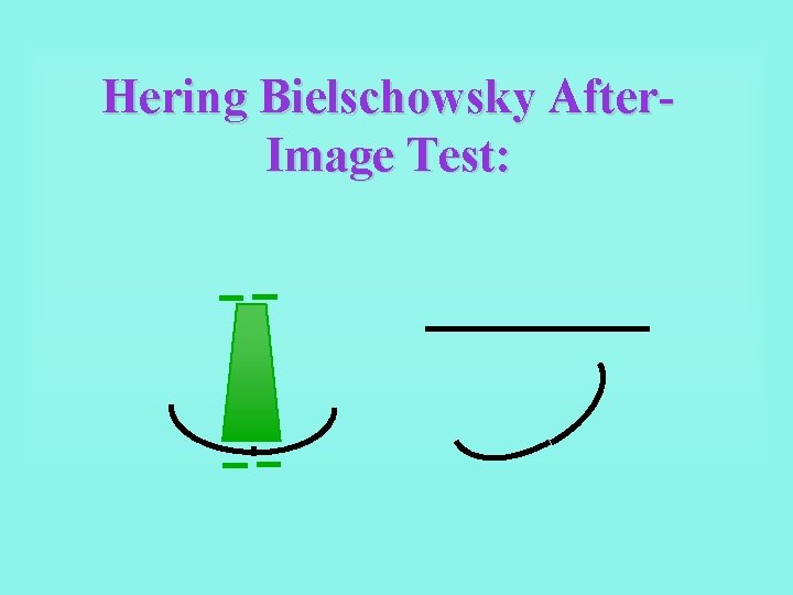 Hering Bielschowsky After. Image Test: 