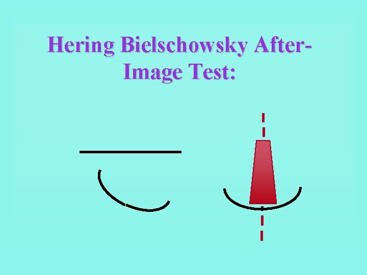 Hering Bielschowsky After. Image Test: 
