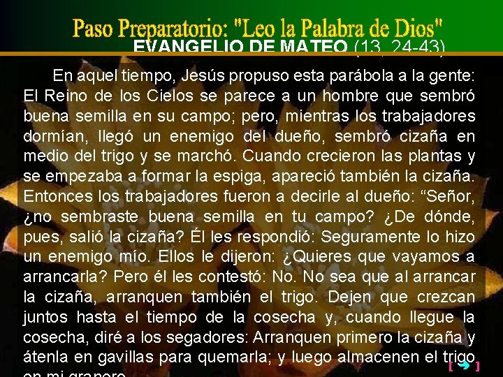 EVANGELIO DE MATEO (13, 24 -43) En aquel tiempo, Jesús propuso esta parábola a