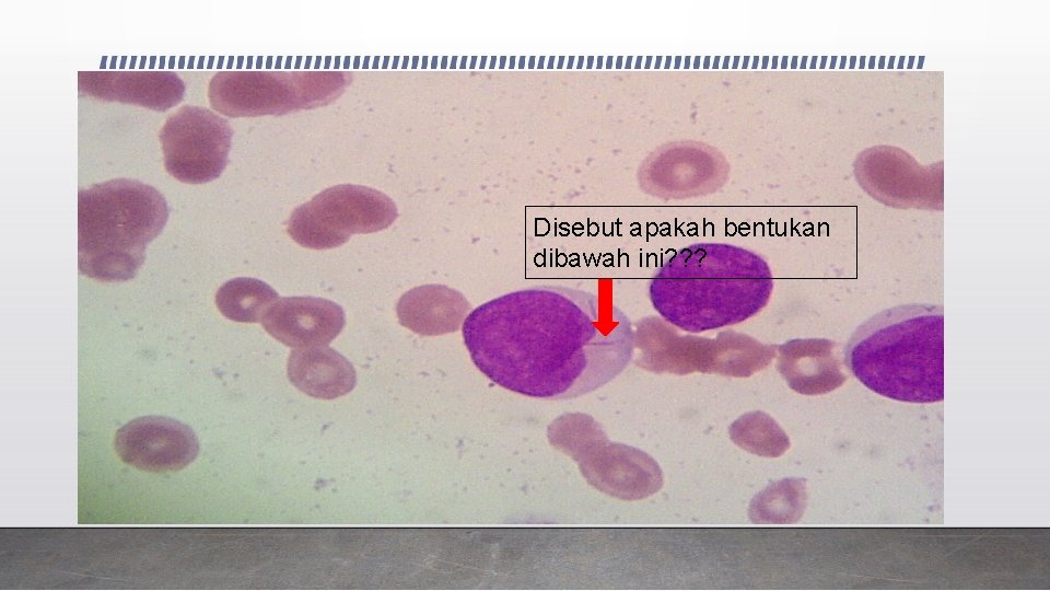 Disebut apakah bentukan dibawah ini? ? ? 