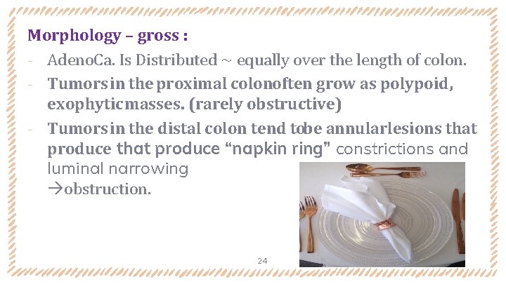 Morphology – gross : ‐ Adeno. Ca. Is Distributed ~ equally over the length Morphology – gross : ‐ Adeno. Ca. Is Distributed ~ equally over the length