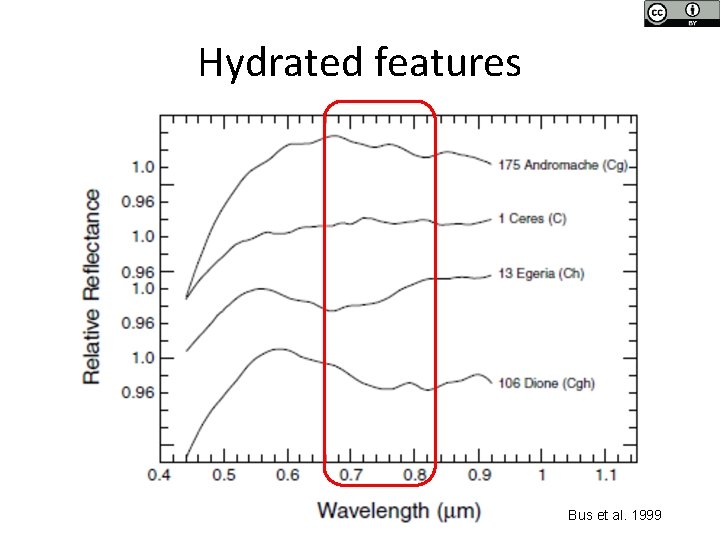 Hydrated features Bus et al. 1999 Hydrated features Bus et al. 1999