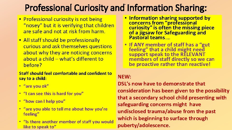 Professional Curiosity and Information Sharing: • Professional curiosity is not being “nosey” but it Professional Curiosity and Information Sharing: • Professional curiosity is not being “nosey” but it