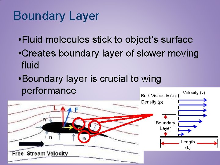Boundary Layer • Fluid molecules stick to object’s surface • Creates boundary layer of