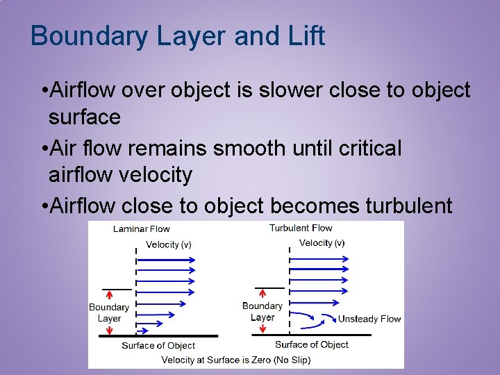 Boundary Layer and Lift • Airflow over object is slower close to object surface