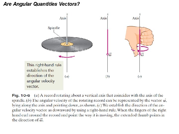 Are Angular Quantities Vectors? 