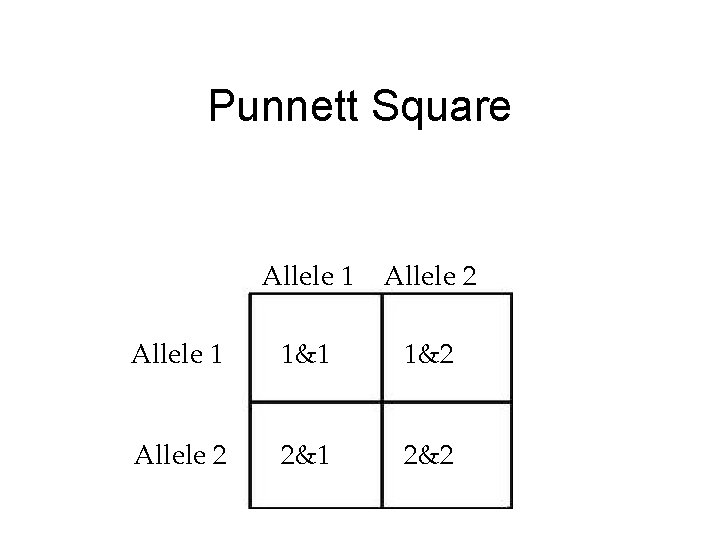 Punnett Square Allele 1 Allele 2 Allele 1 1&2 Allele 2 2&1 2&2 Punnett Square Allele 1 Allele 2 Allele 1 1&2 Allele 2 2&1 2&2