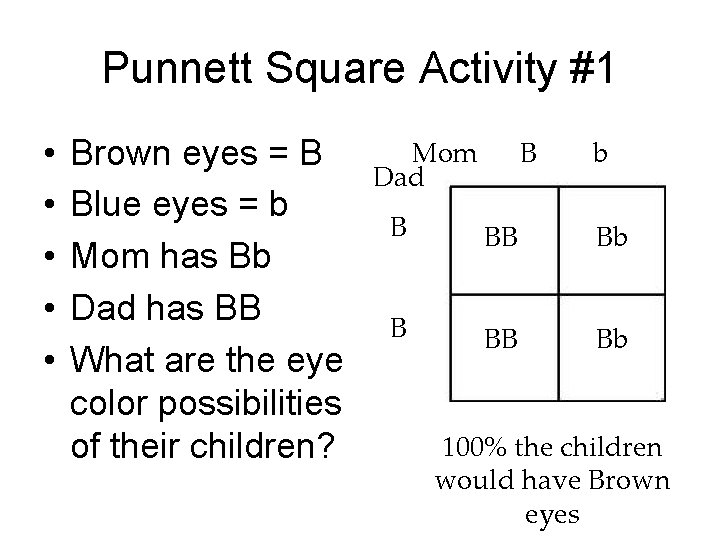 Punnett Square Activity #1 • • • Brown eyes = B Blue eyes = Punnett Square Activity #1 • • • Brown eyes = B Blue eyes =
