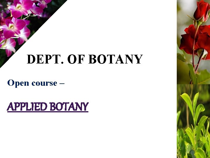 DEPT. OF BOTANY Open course – APPLIED BOTANY 