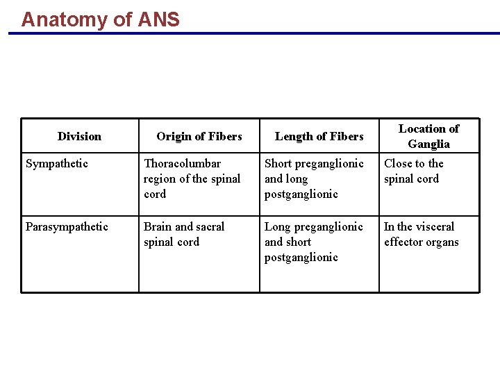 Anatomy of ANS Division Location of Ganglia Origin of Fibers Length of Fibers Sympathetic