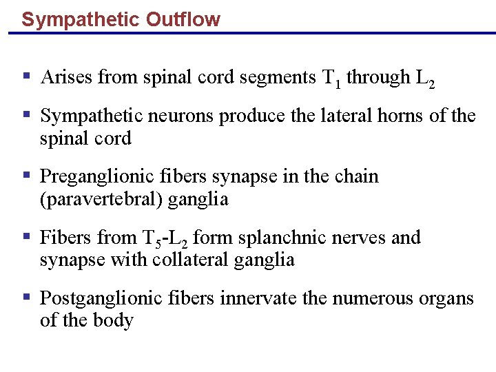 Sympathetic Outflow § Arises from spinal cord segments T 1 through L 2 §