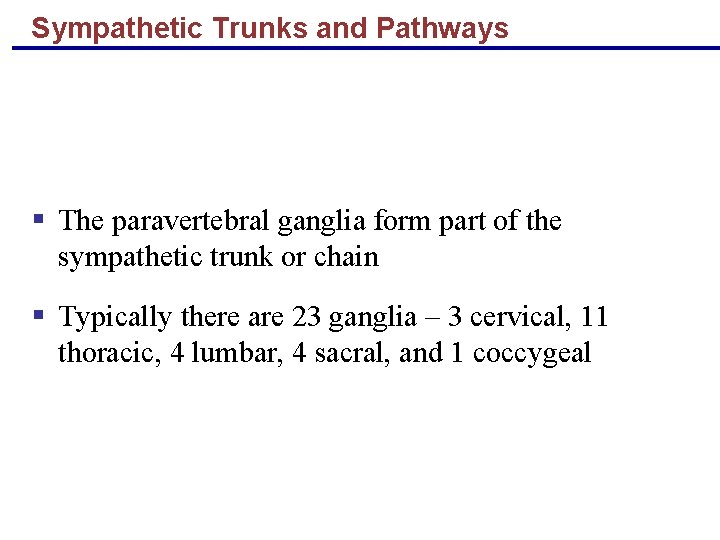 Sympathetic Trunks and Pathways § The paravertebral ganglia form part of the sympathetic trunk