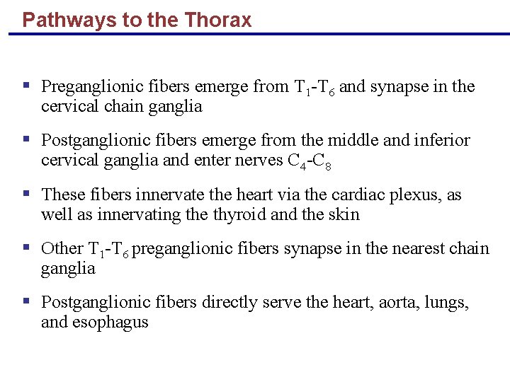 Pathways to the Thorax § Preganglionic fibers emerge from T 1 -T 6 and