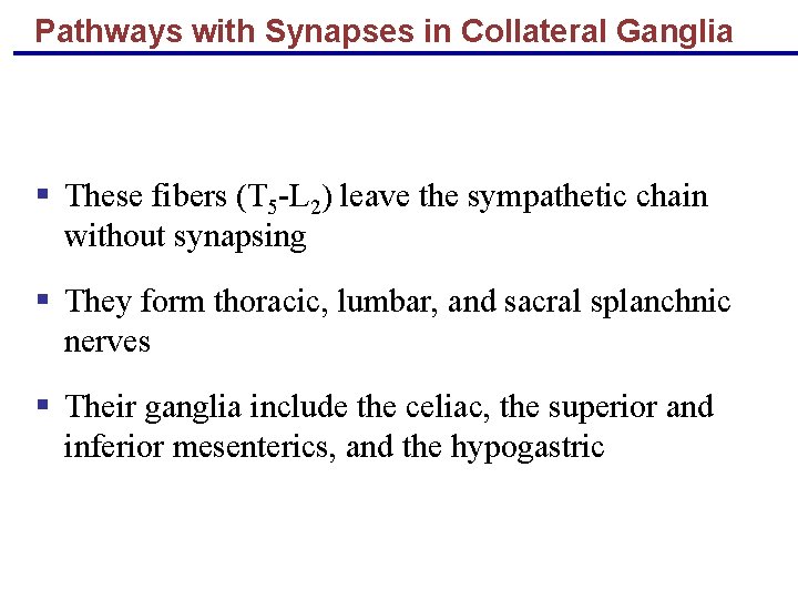 Pathways with Synapses in Collateral Ganglia § These fibers (T 5 -L 2) leave