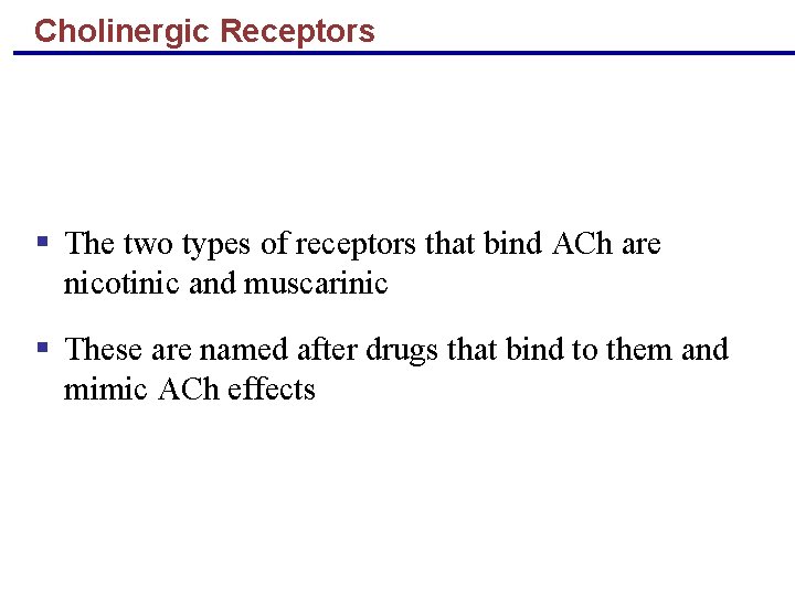 Cholinergic Receptors § The two types of receptors that bind ACh are nicotinic and
