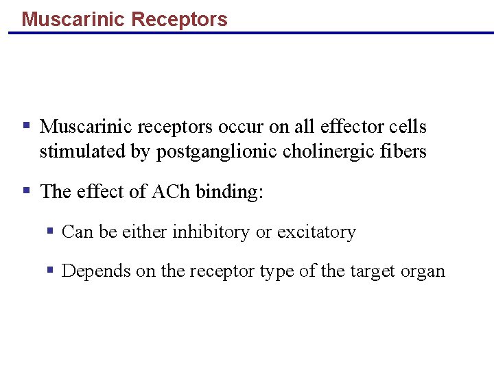 Muscarinic Receptors § Muscarinic receptors occur on all effector cells stimulated by postganglionic cholinergic