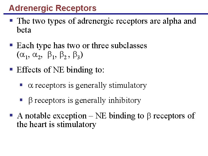 Adrenergic Receptors § The two types of adrenergic receptors are alpha and beta §