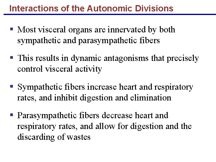 Interactions of the Autonomic Divisions § Most visceral organs are innervated by both sympathetic