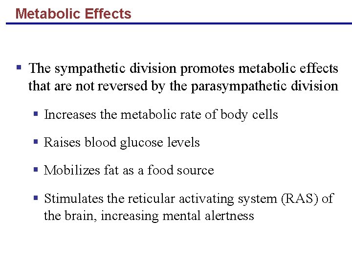 Metabolic Effects § The sympathetic division promotes metabolic effects that are not reversed by