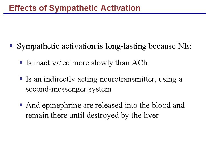 Effects of Sympathetic Activation § Sympathetic activation is long-lasting because NE: § Is inactivated