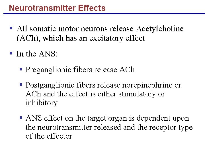 Neurotransmitter Effects § All somatic motor neurons release Acetylcholine (ACh), which has an excitatory