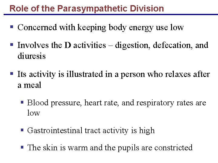 Role of the Parasympathetic Division § Concerned with keeping body energy use low §