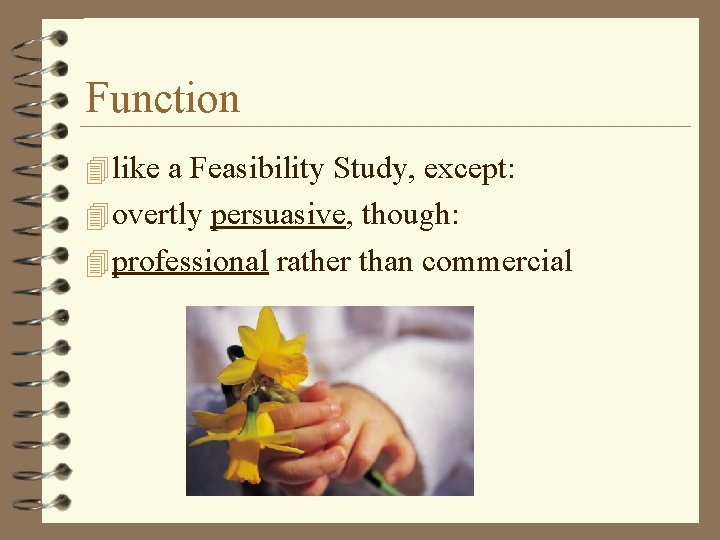 Function 4 like a Feasibility Study, except: 4 overtly persuasive, though: 4 professional rather