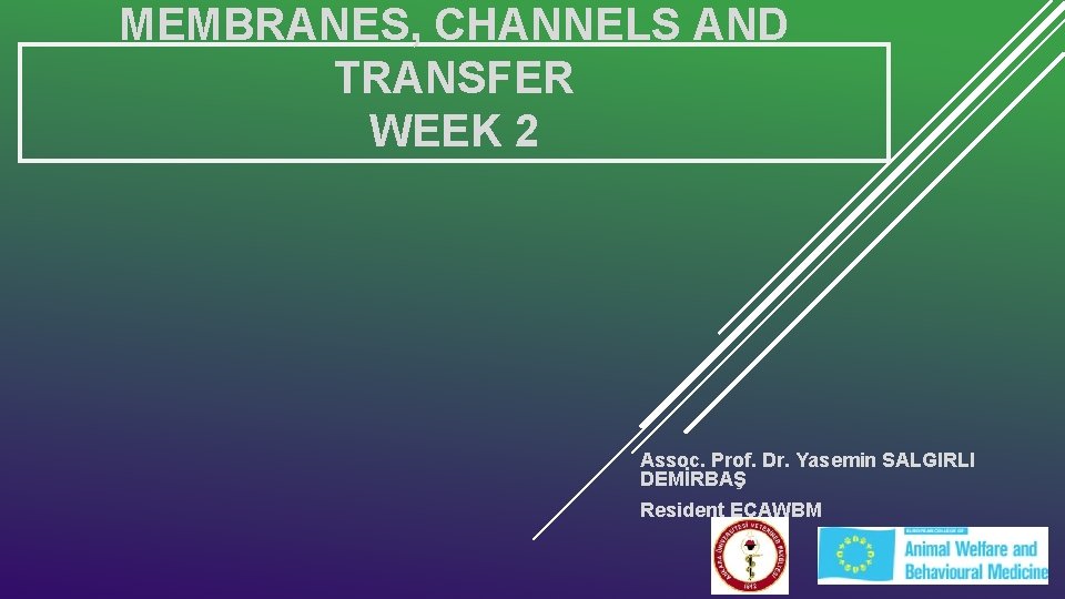 MEMBRANES, CHANNELS AND TRANSFER WEEK 2 Assoc. Prof. Dr. Yasemin SALGIRLI DEMİRBAŞ Resident ECAWBM