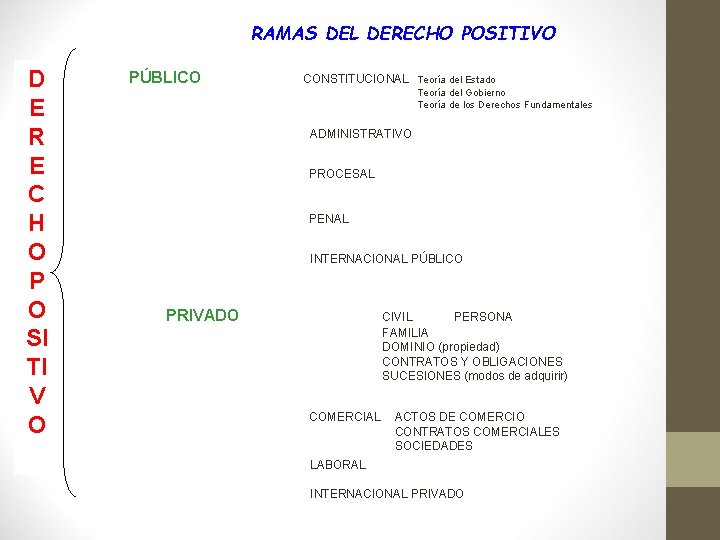 RAMAS DEL DERECHO POSITIVO D E R E C H O P O SI
