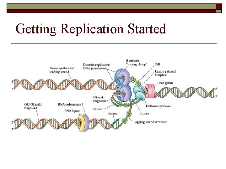 Getting Replication Started 