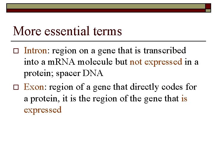 More essential terms o o Intron: region on a gene that is transcribed into