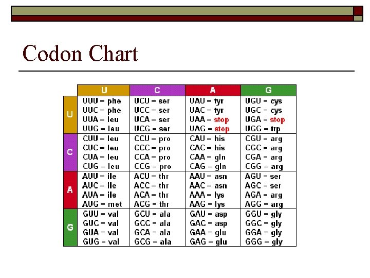 Codon Chart 