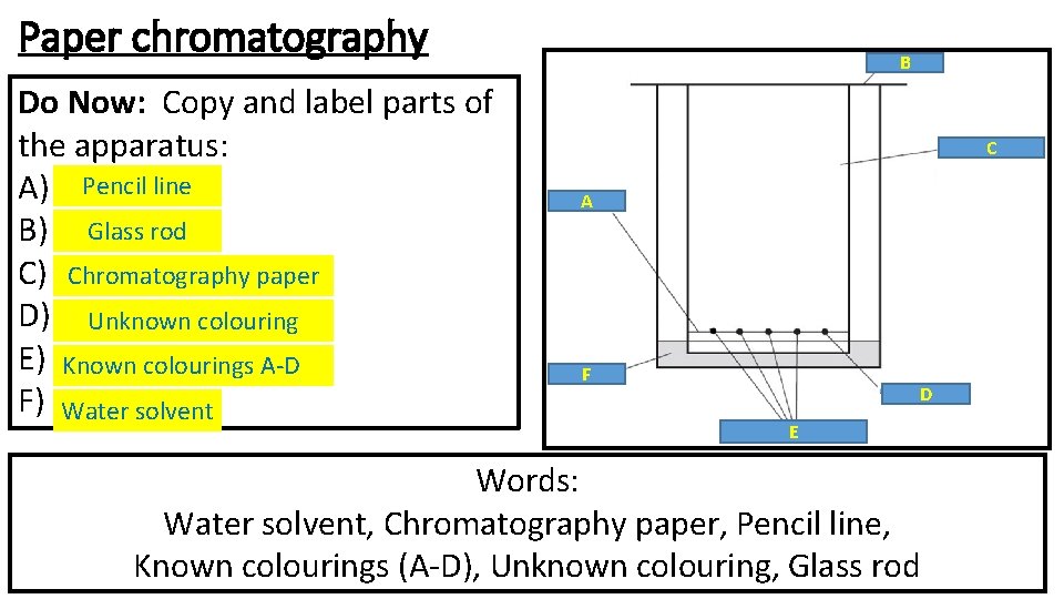 Paper chromatography Do Now: Copy and label parts of the apparatus: A) Pencil line