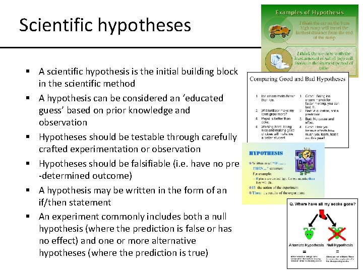 Scientific hypotheses § A scientific hypothesis is the initial building block in the scientific