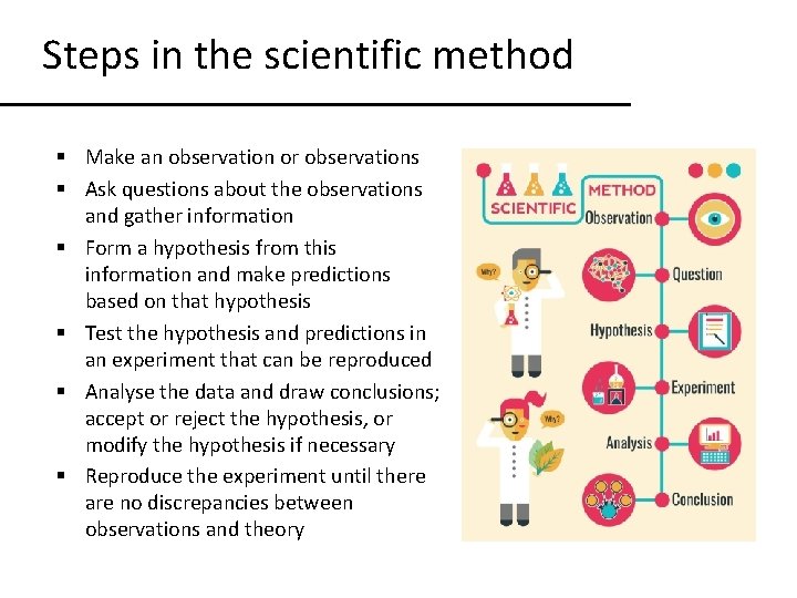 Steps in the scientific method § Make an observation or observations § Ask questions